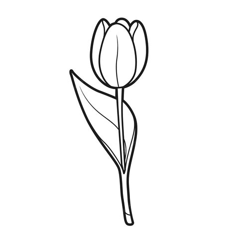 tulip outline|Outline Tulip Imagens – Download Grátis no Freepik